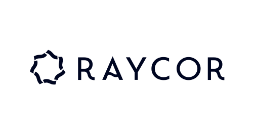 RayCor Consulting